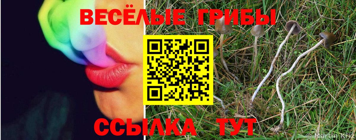 Псилоцибиновые грибы Magic Shrooms Чайковский